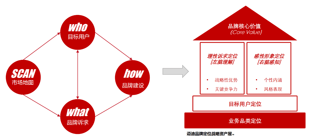 2、公司的体育战略：公司采取多体育战略的主要原因是什么